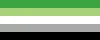 Non-binary flag.